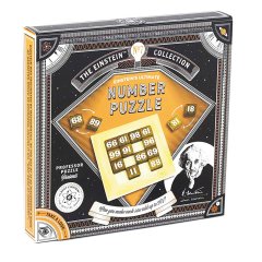 Einstein's Number Puzzle